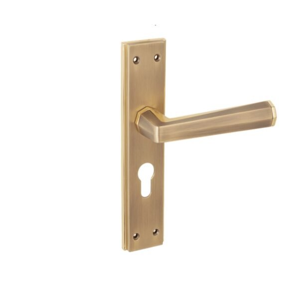 Door Handles-Q460-PL-ABM-GP