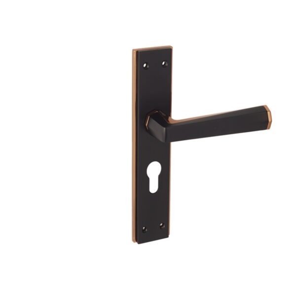 Door Handles-Q460-PL-RG-JBM