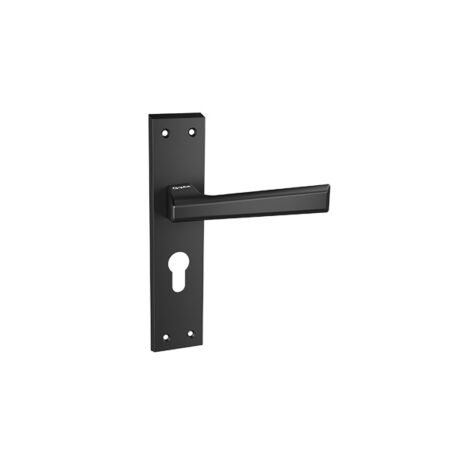 Elegant Door Handle Q 466